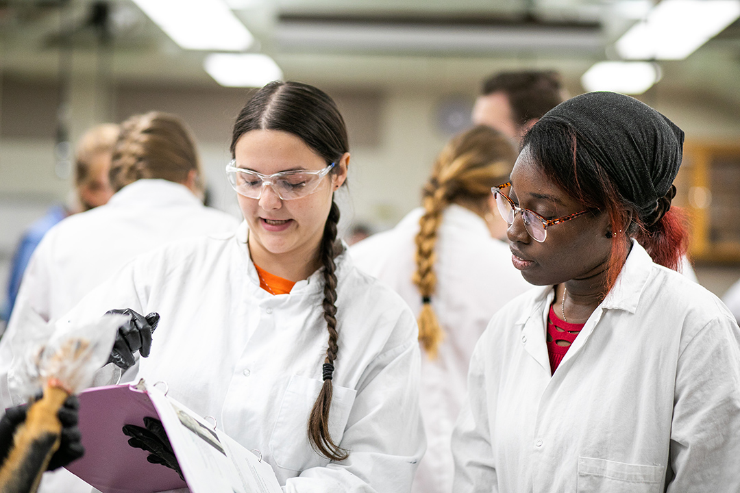 Veterinary students in an anatomy class