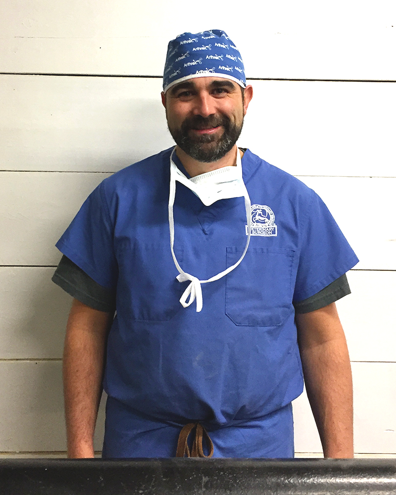 Picture of  Chris Bell