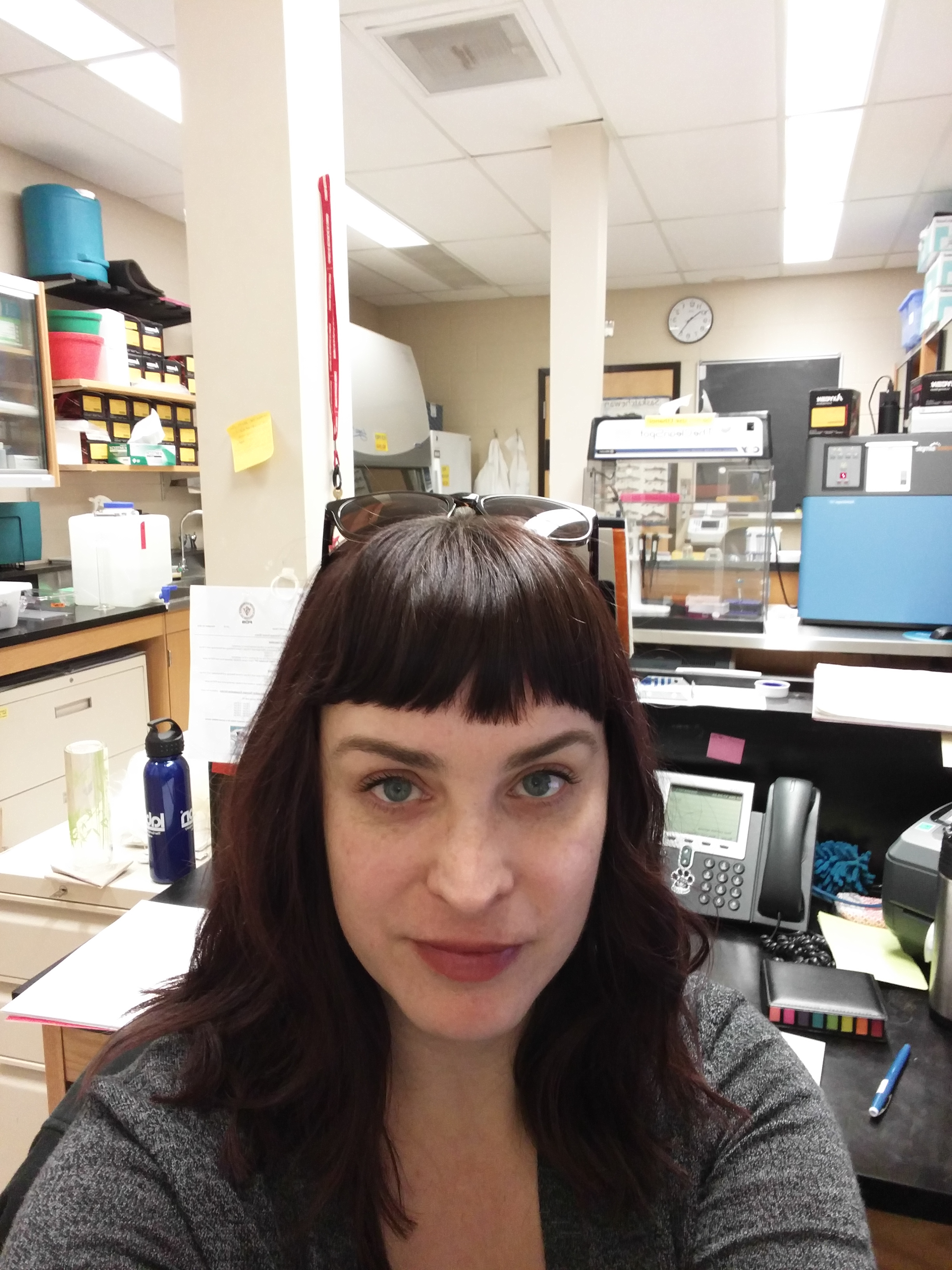 Picture of  Karen Gesy