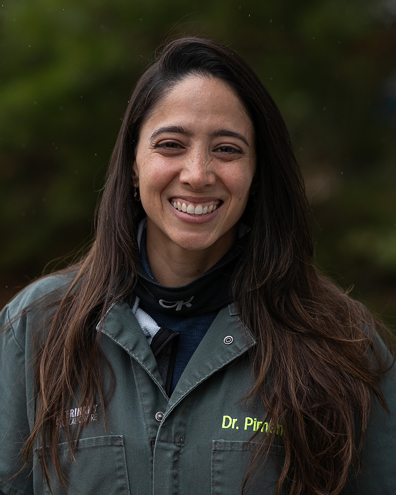 Picture of  Karen Pimentel