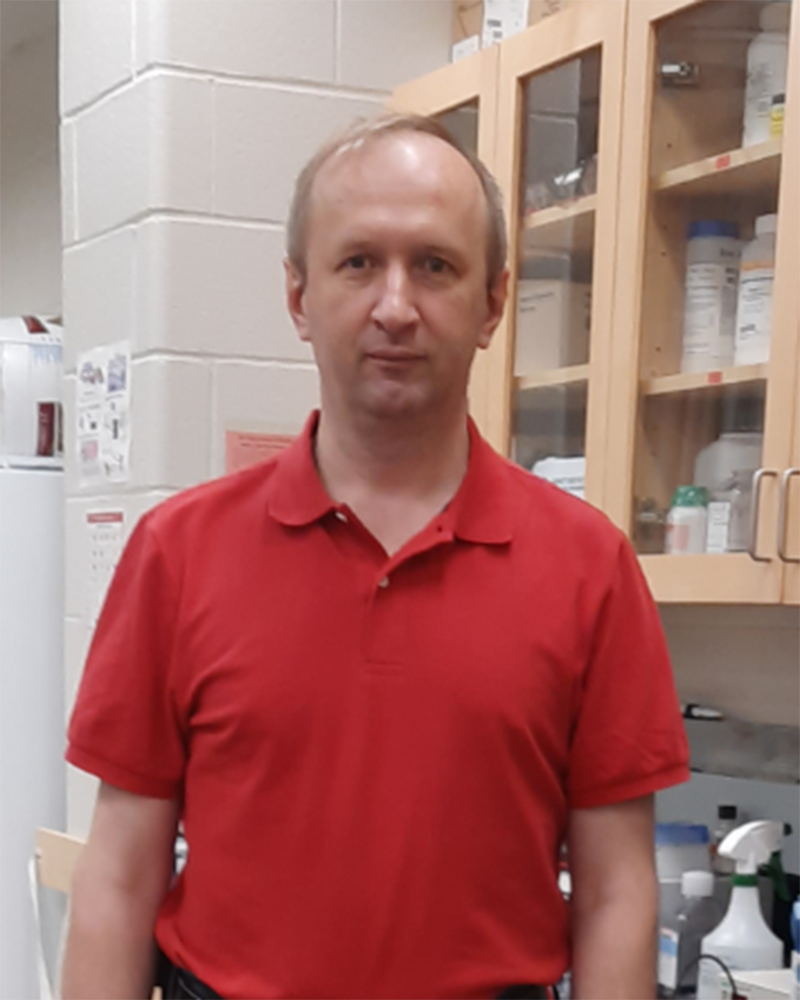 Picture of  Roman Nosach