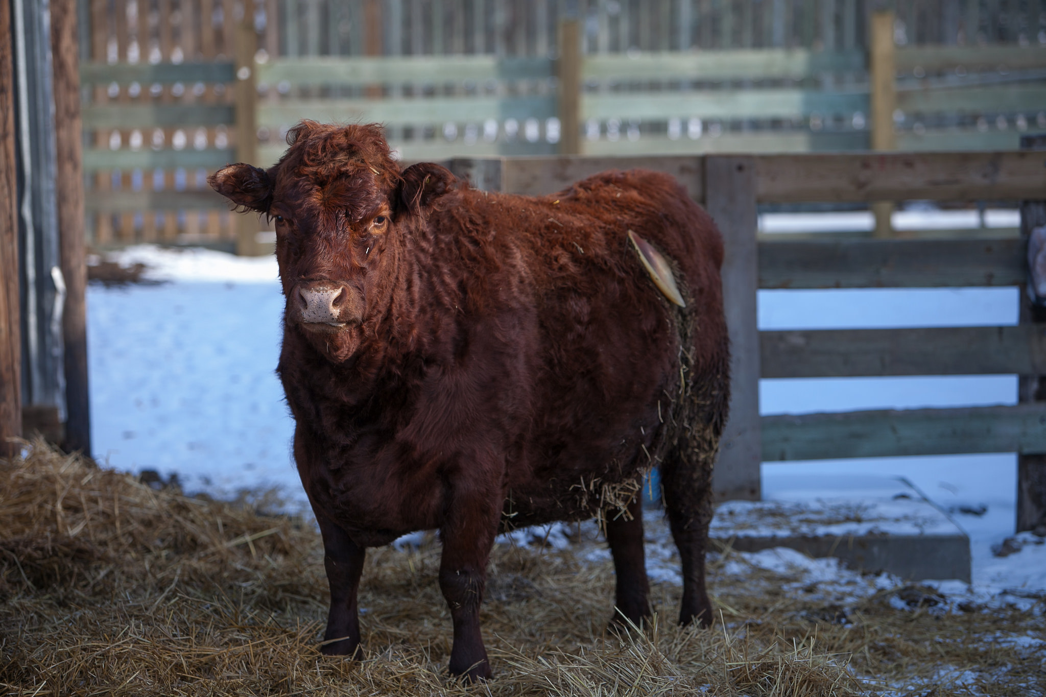 Picture of Animal Care Unit