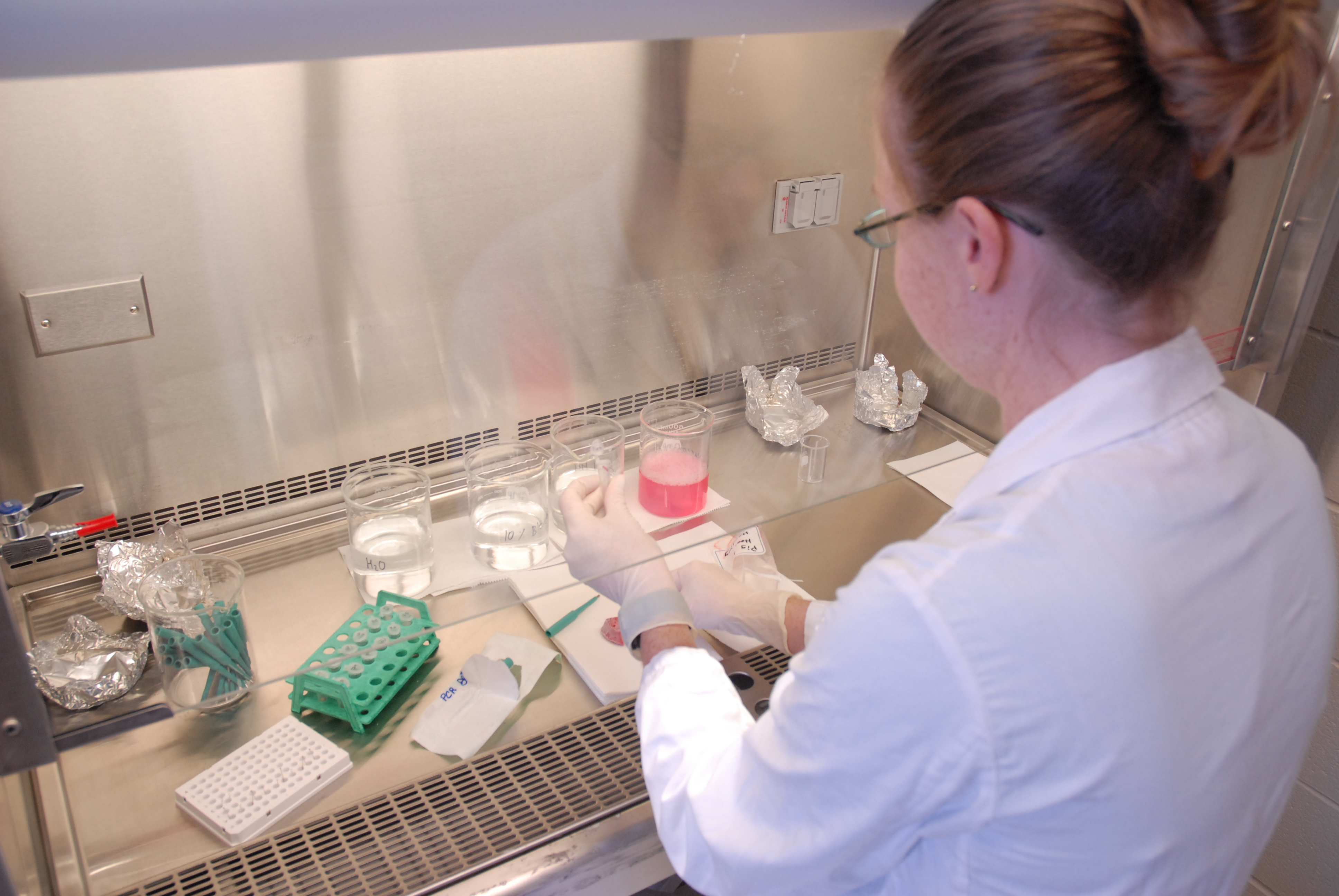 Picture of WCVM Research Wing 