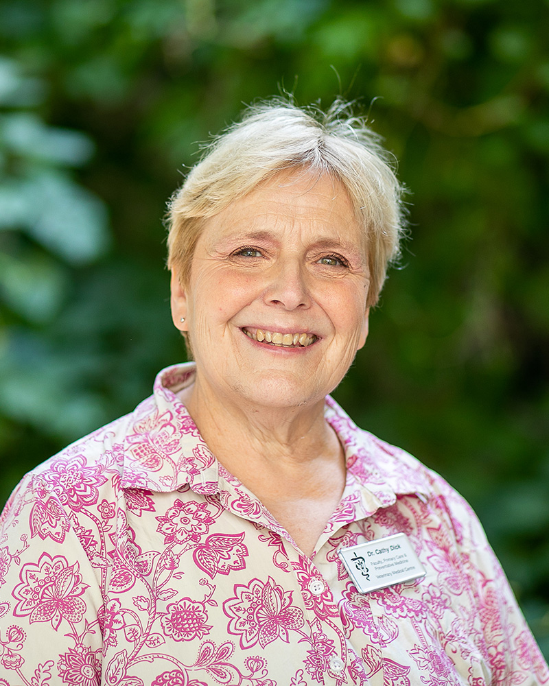 Picture of  Cathy Dick