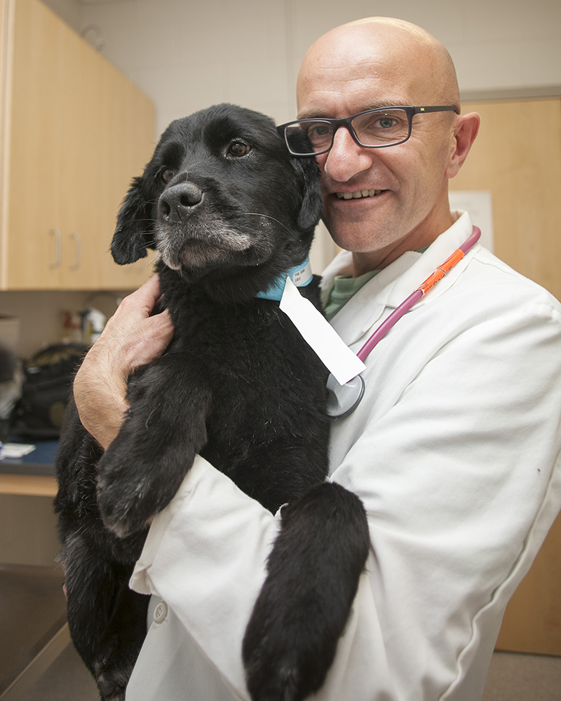 Picture of Kevin Cosford