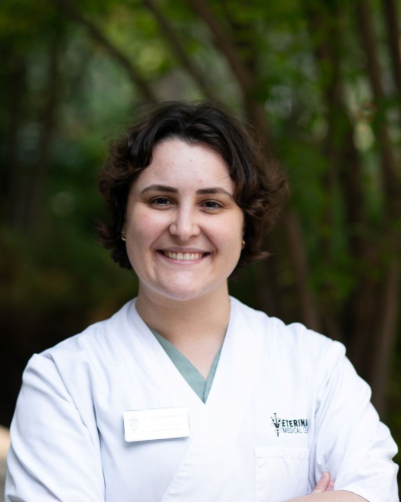 Picture of  Thamires Marques