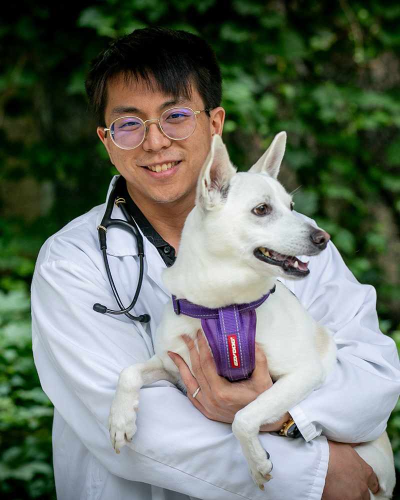 Picture of  LJ Tseng