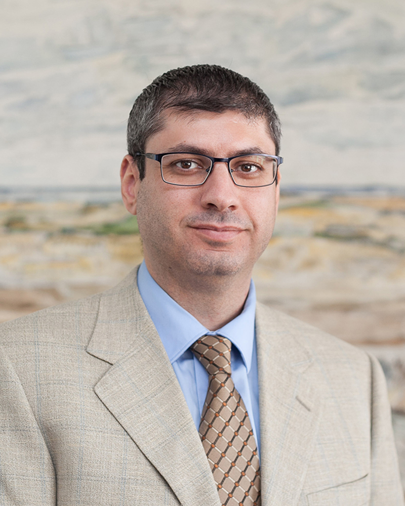 Picture of Ahmad Al-Dissi