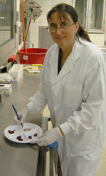 Picture of  Victoria Bowes